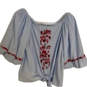 Zara Trafaluo Collection Blue Chambray Embroidered Balloon Sleeve Top Size S